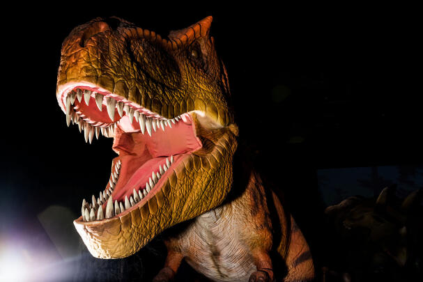 Custom Dinosaur Exhibitions